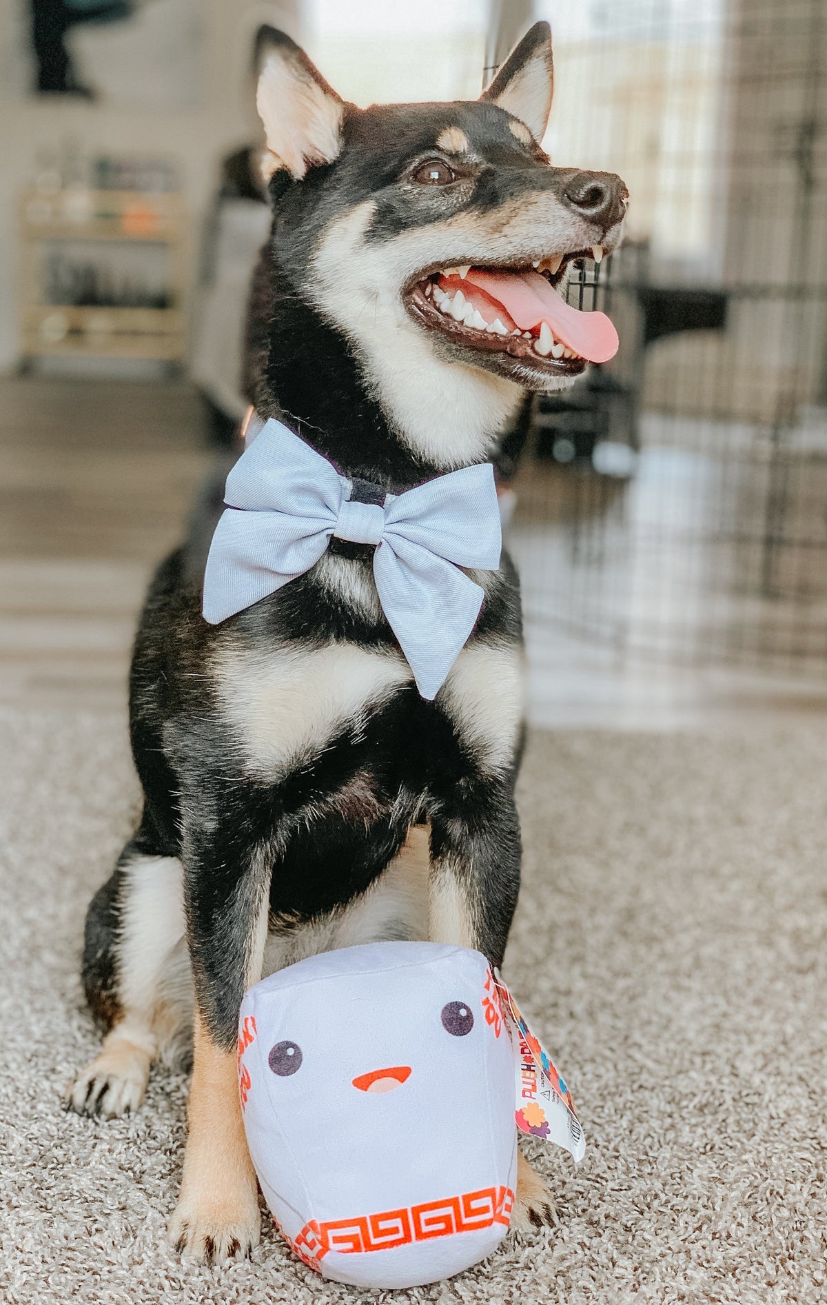 Dog Sailor Bow - 50 Shades of Sass