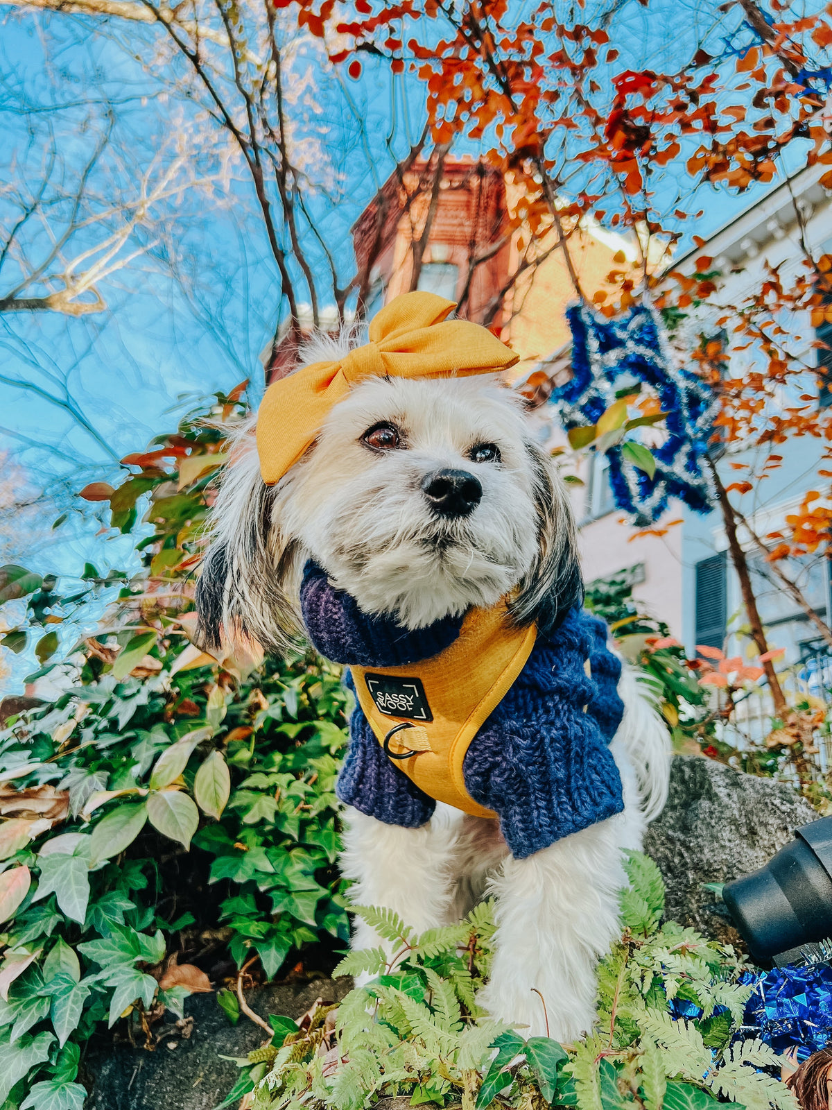 Dog Sailor Bow - Sunflower Fields
