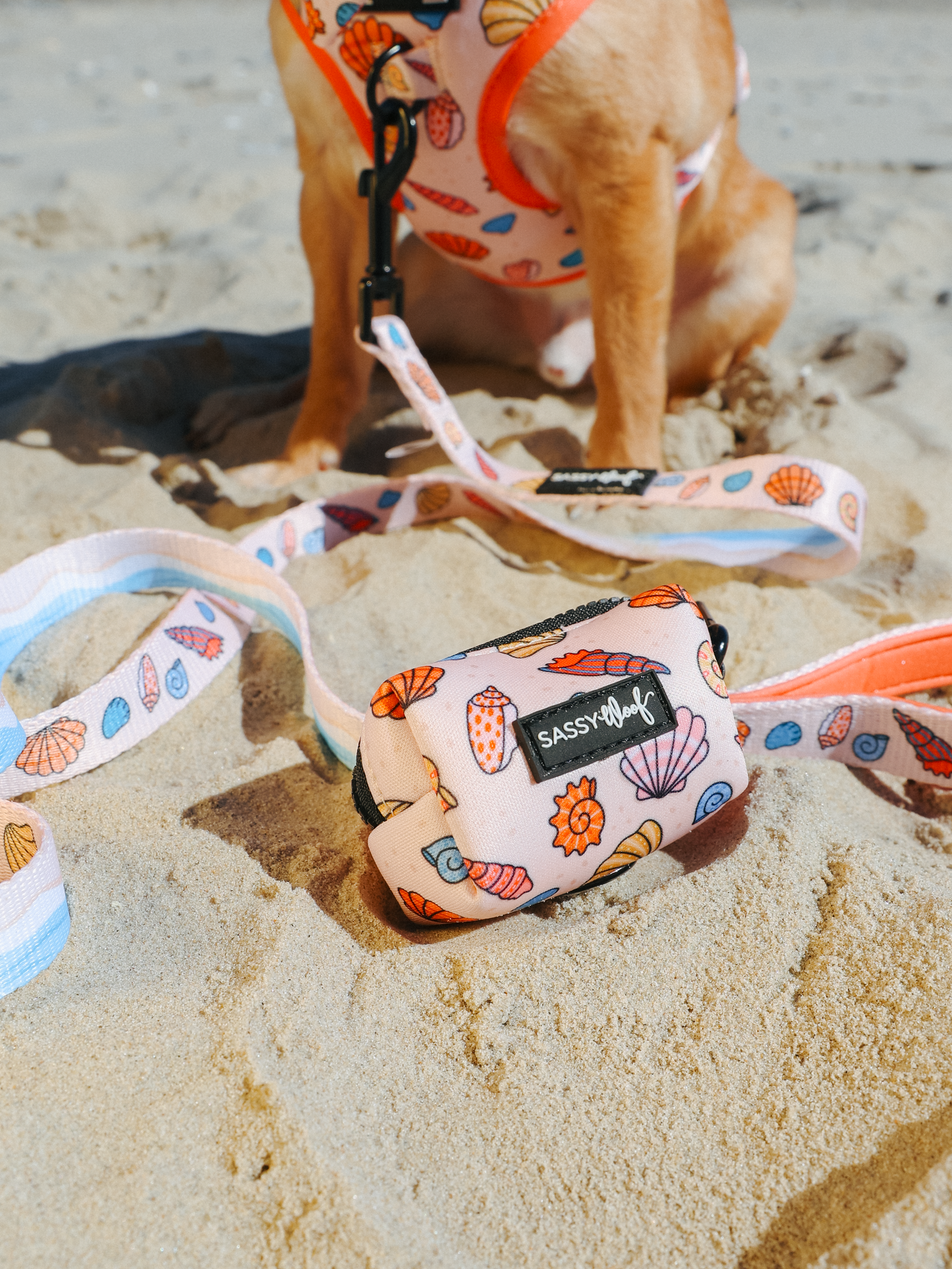 Dog Three Piece Bundle - Shell Yeah