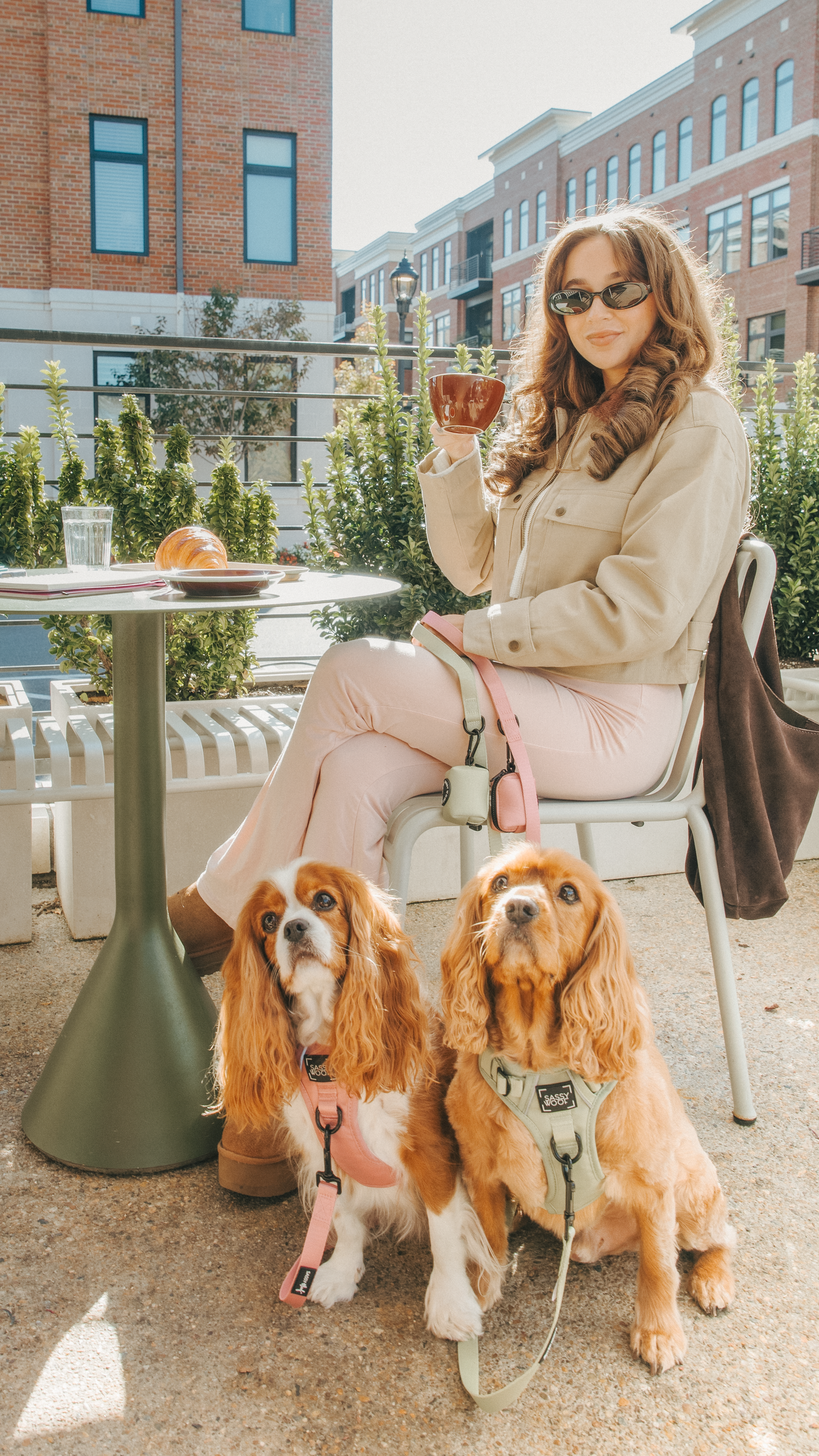 Dog Two Piece Bundle - Matcha