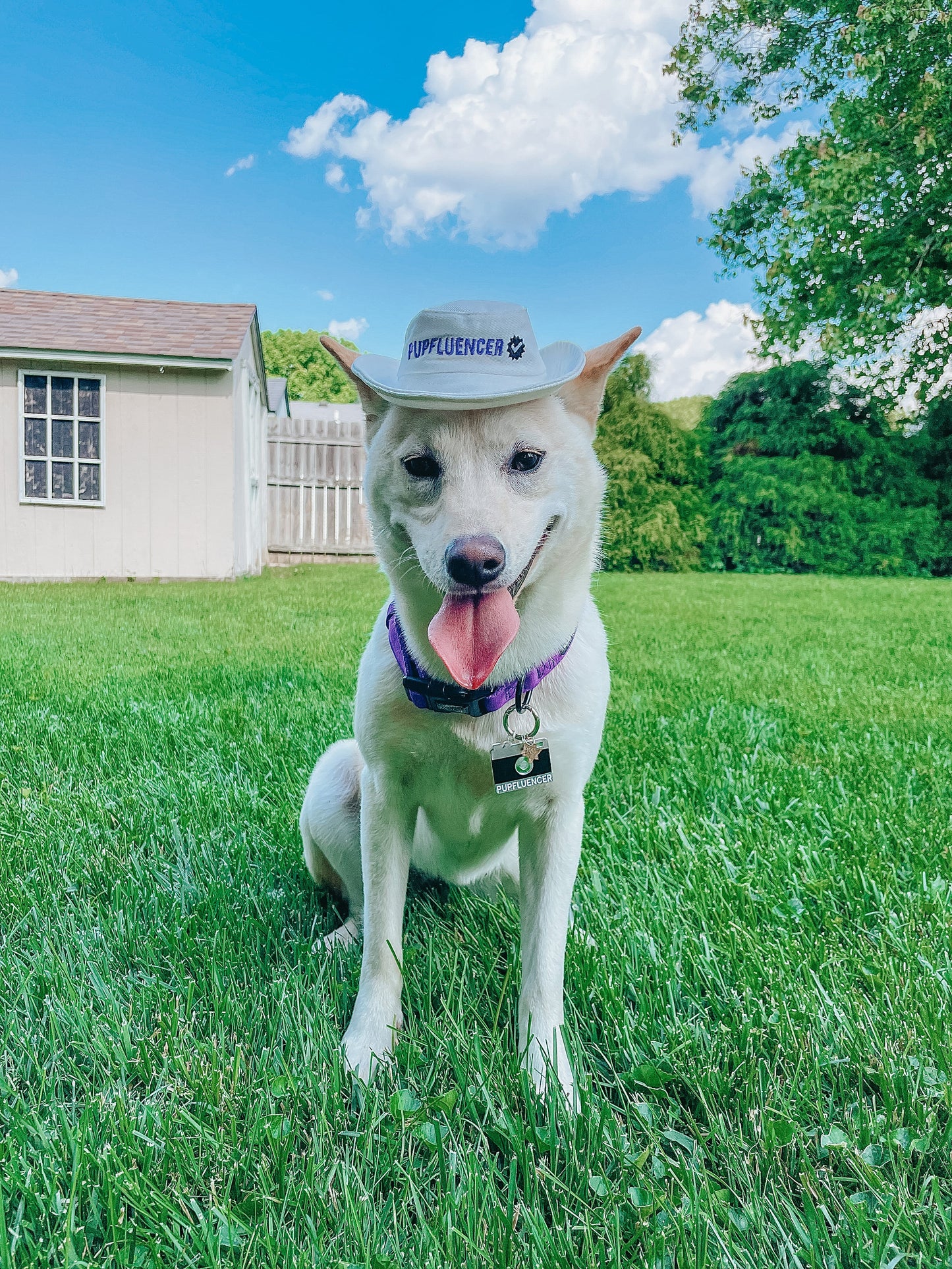 Dog Bucket Hat - Pupfluencer