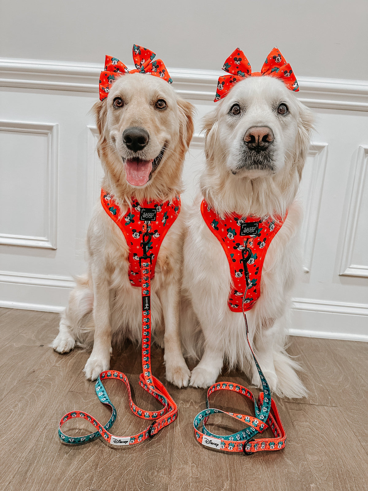 Harness Three Piece Bundle - Disney Holiday Collection