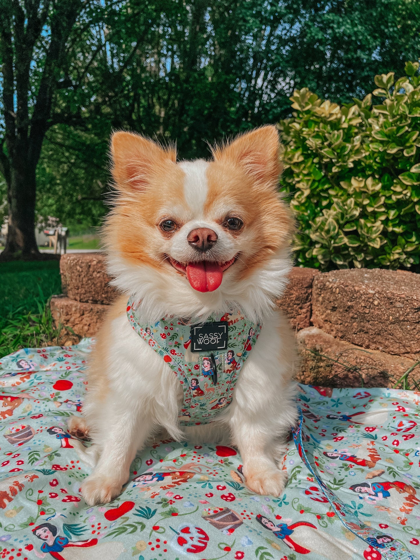 Pet Blanket - Disney's Snow White