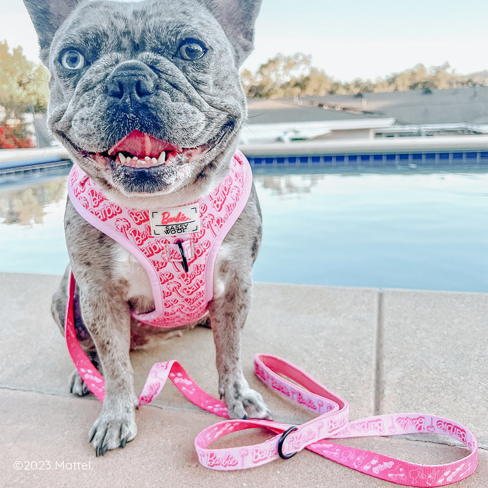 Dog Leash - BARBIE™ Malibu
