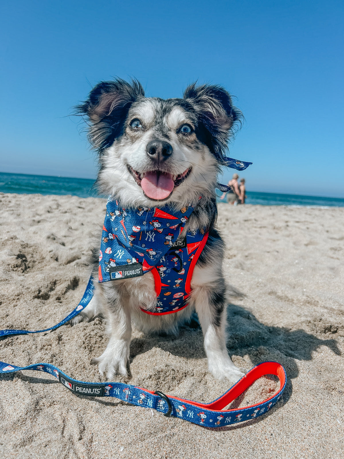 Dog Bandana - MLB™ x Peanuts™ New York Yankees™