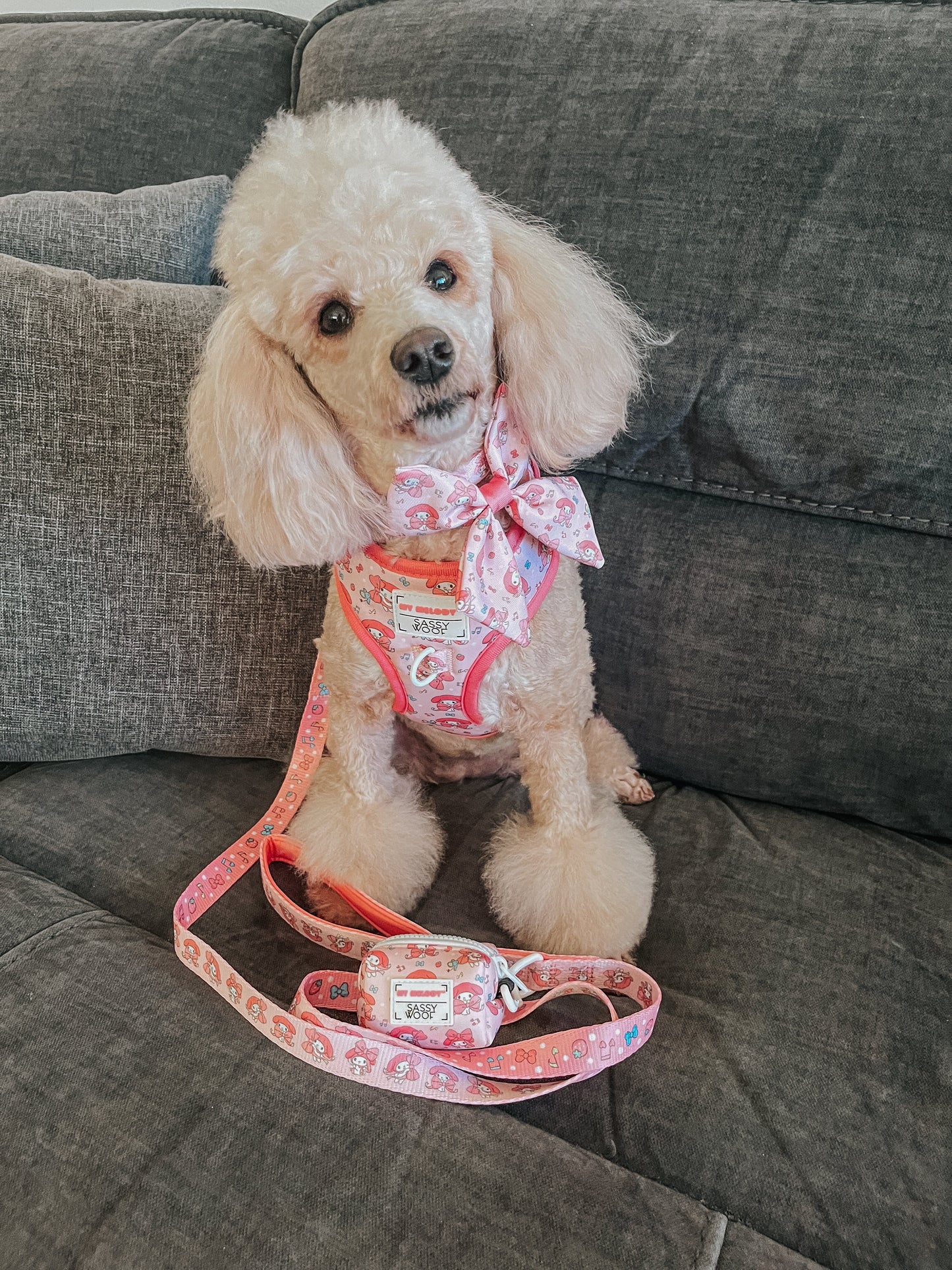 Dog Two Piece Bundle - My Melody™