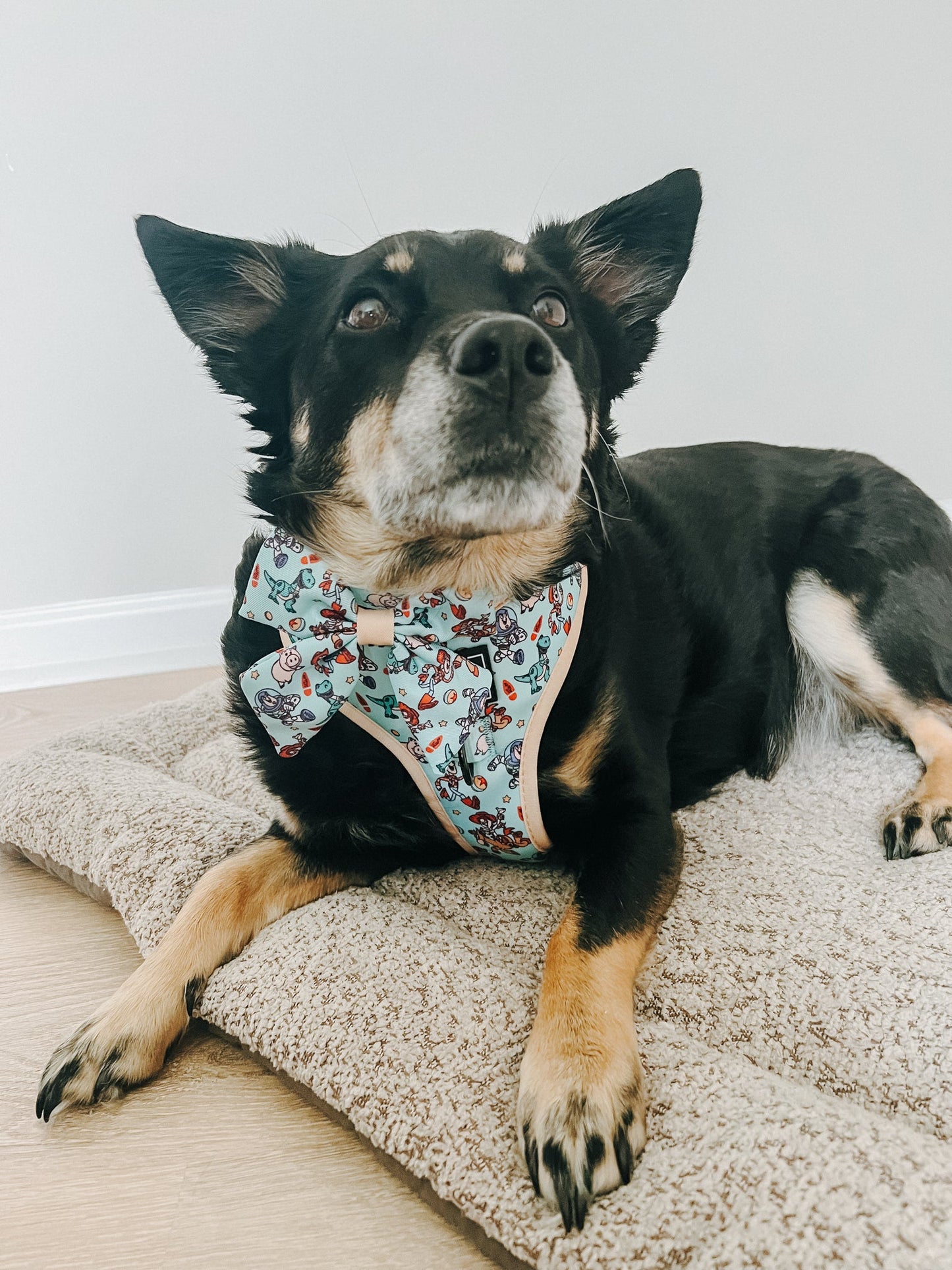 Dog Sailor Bow - Disney and Pixar's Toy Story