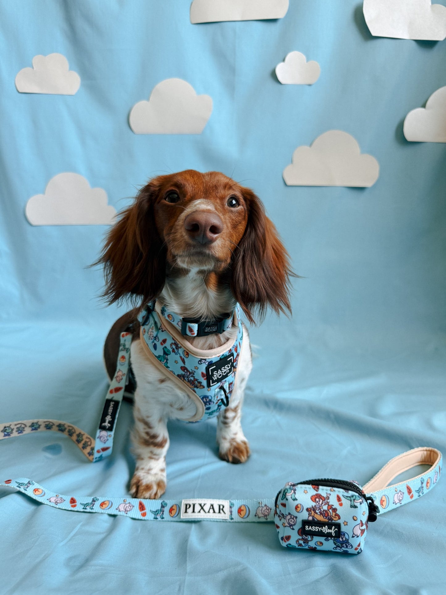 Dog Waste Bag Holder - Disney and Pixar's Toy Story