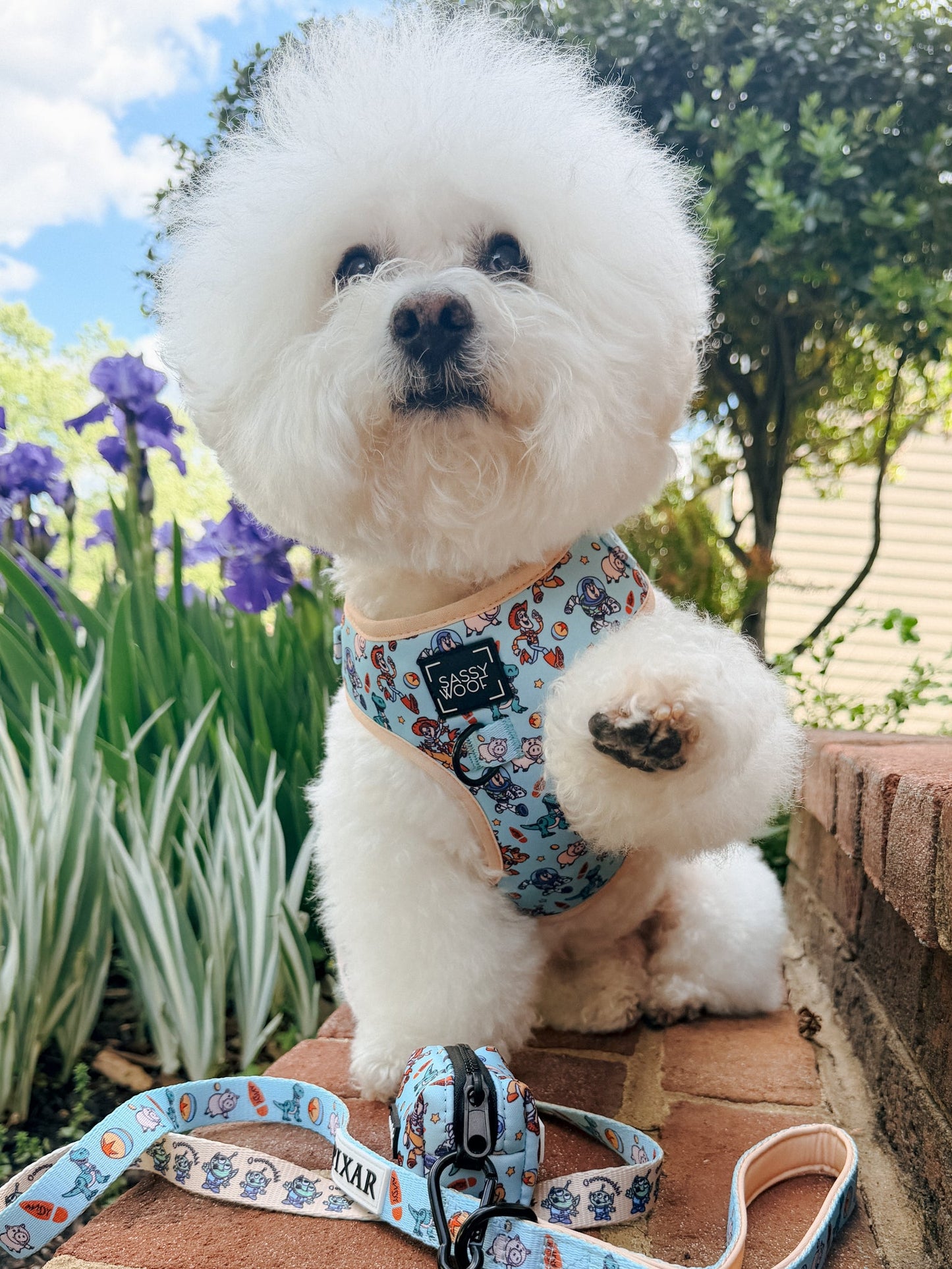 Dog Adjustable Harness - Disney and Pixar's Toy Story