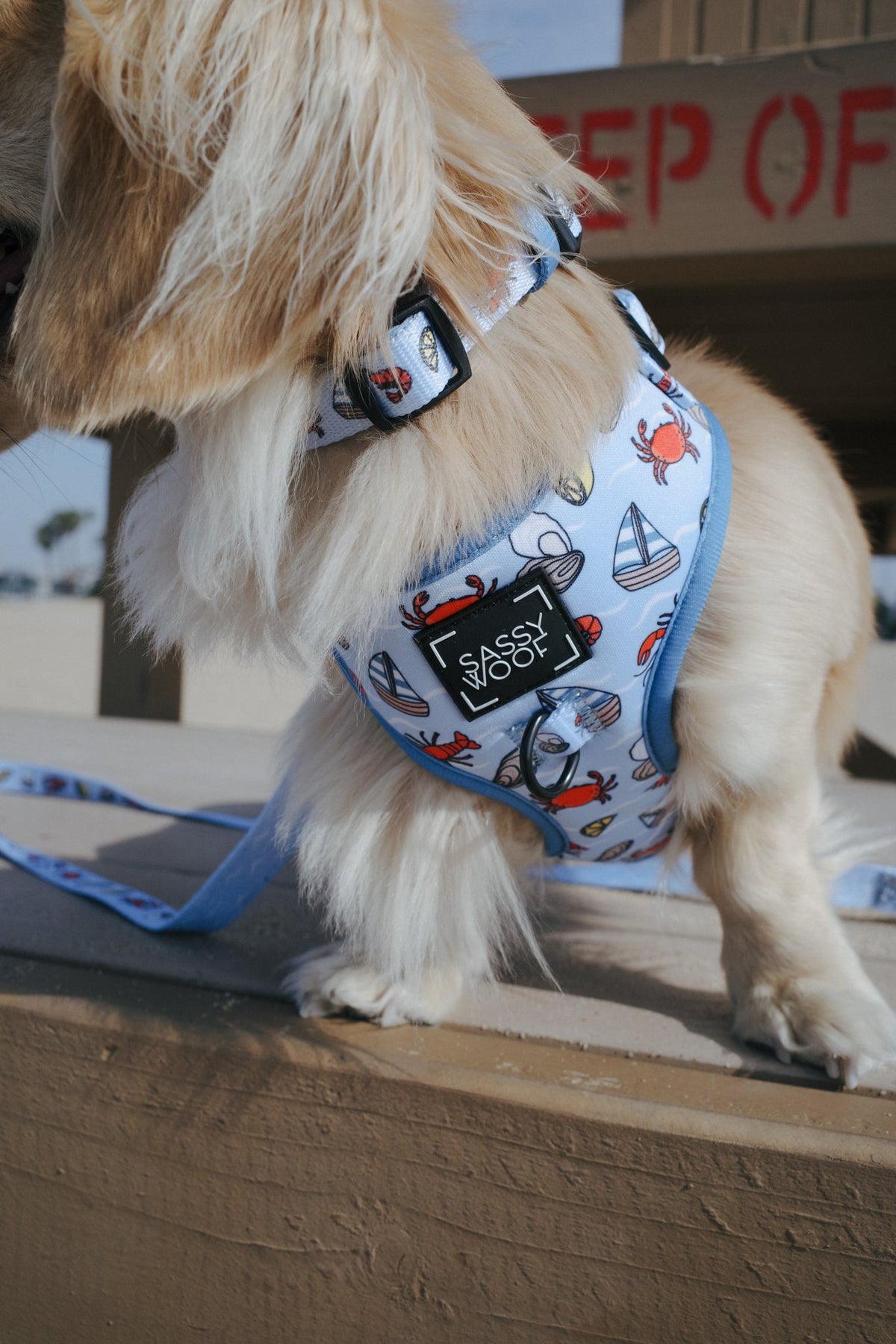 Dog Two Piece Bundle - Coastal Cuties