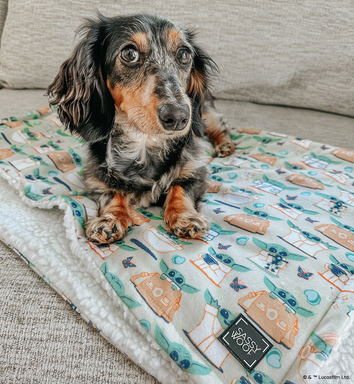 Pet Blanket - STAR WARS™ The Child™