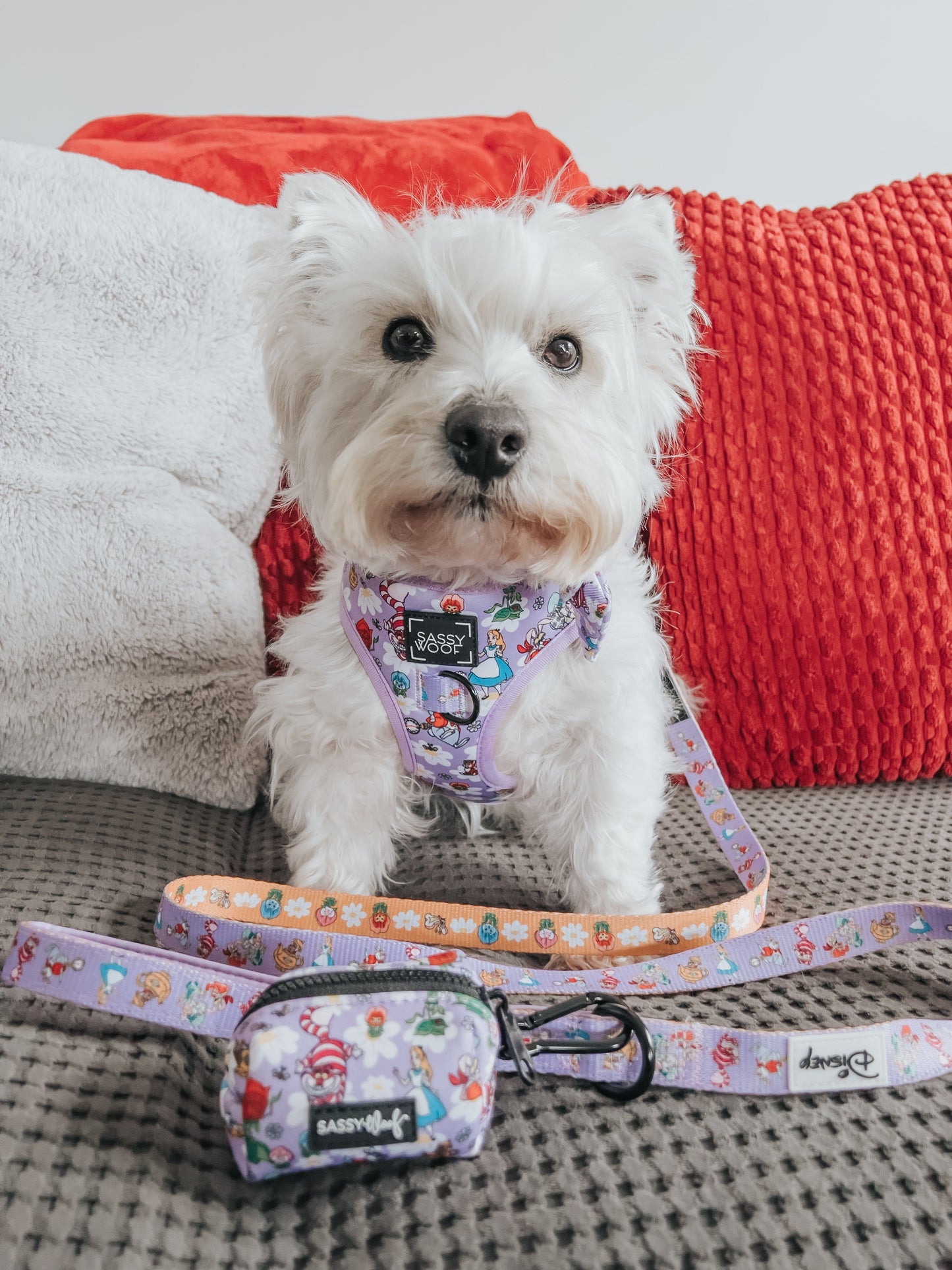 Dog Adjustable Harness - Alice in Wonderland (Purple)