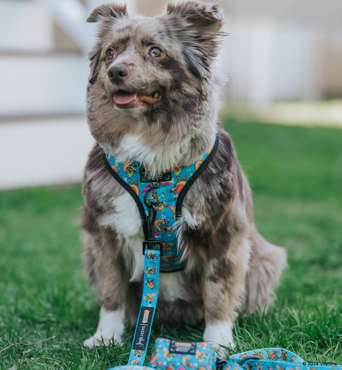 Dog Leash - Nickelodeon CatDog™