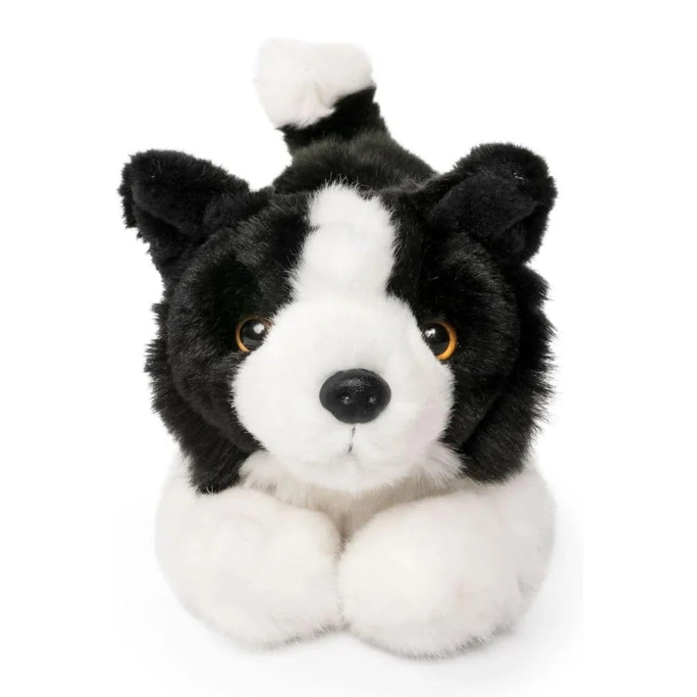 Living Nature - Border Collie Playful Pup