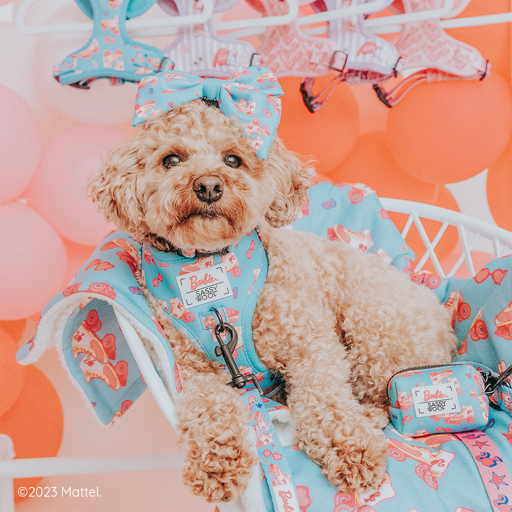 Pet Blanket - BARBIE™ On a Roll