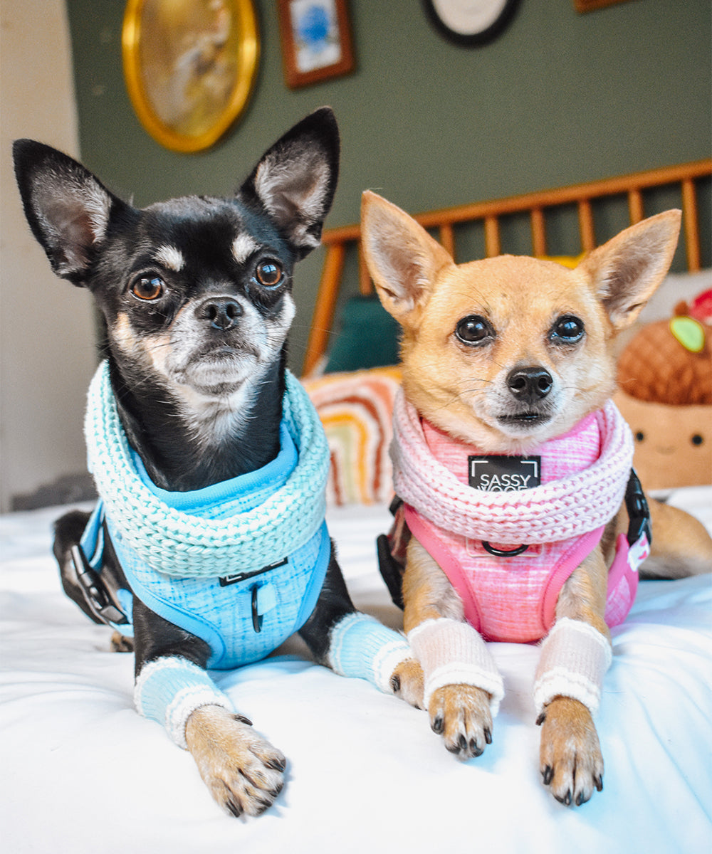 Dog Infinity Scarf - Pink
