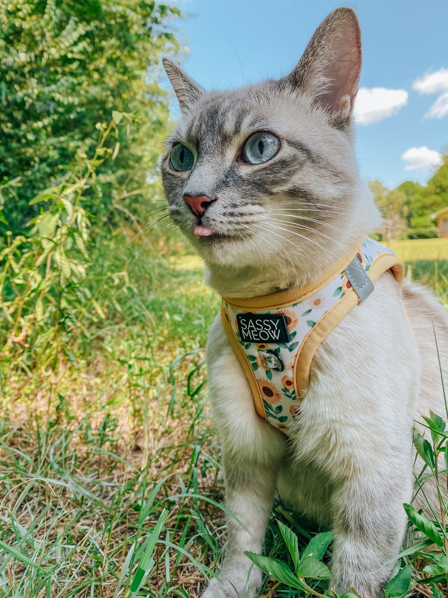 Cat Step-In Harness - Sunflower Dreams