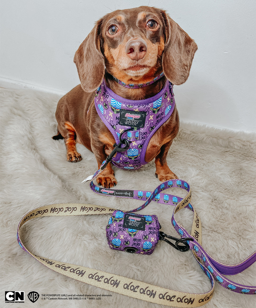 Dog Two Piece Bundle - Mojo Jojo™