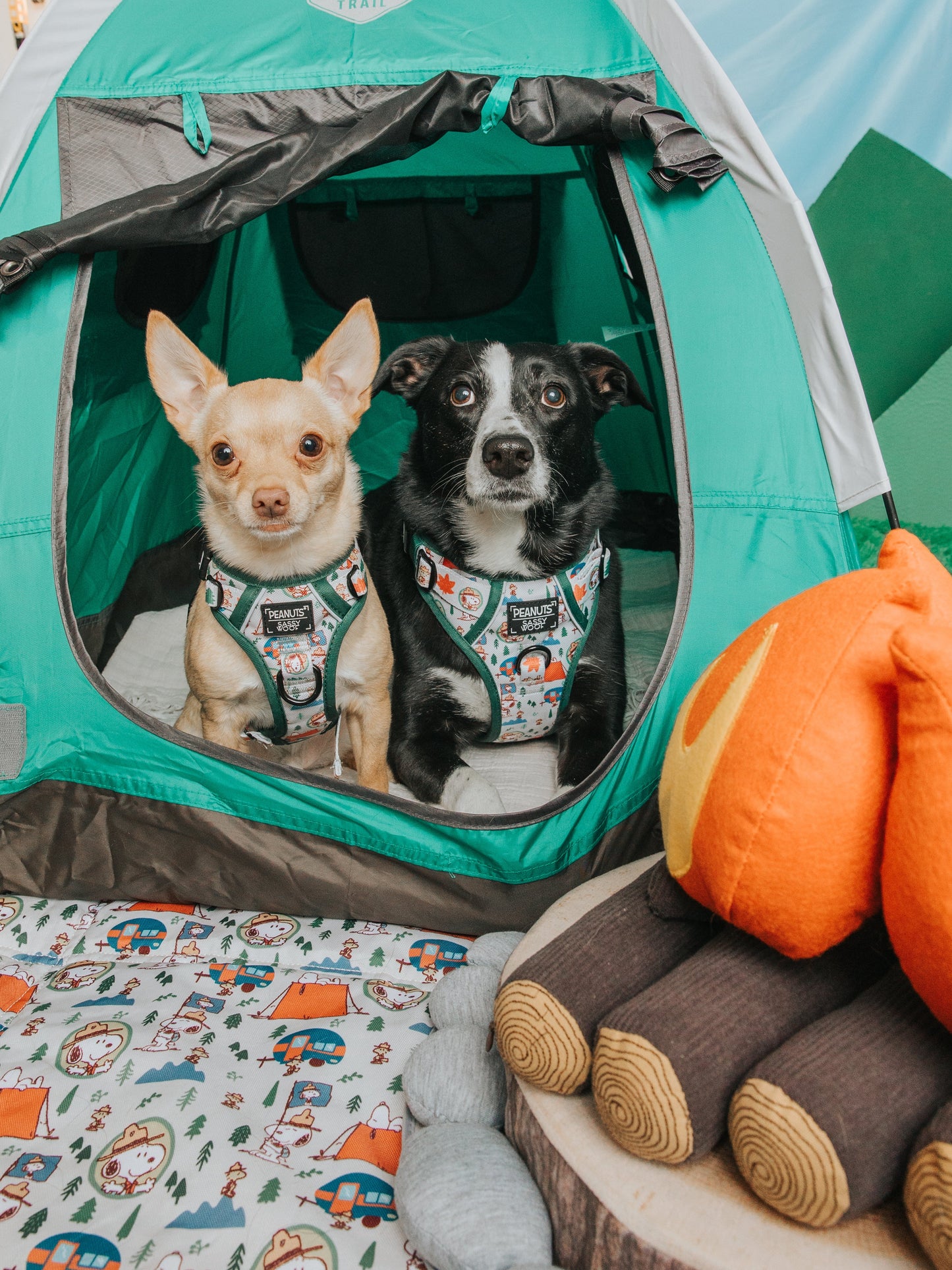 Dog Two Piece Bundle - Peanuts™ Beagle Scouts