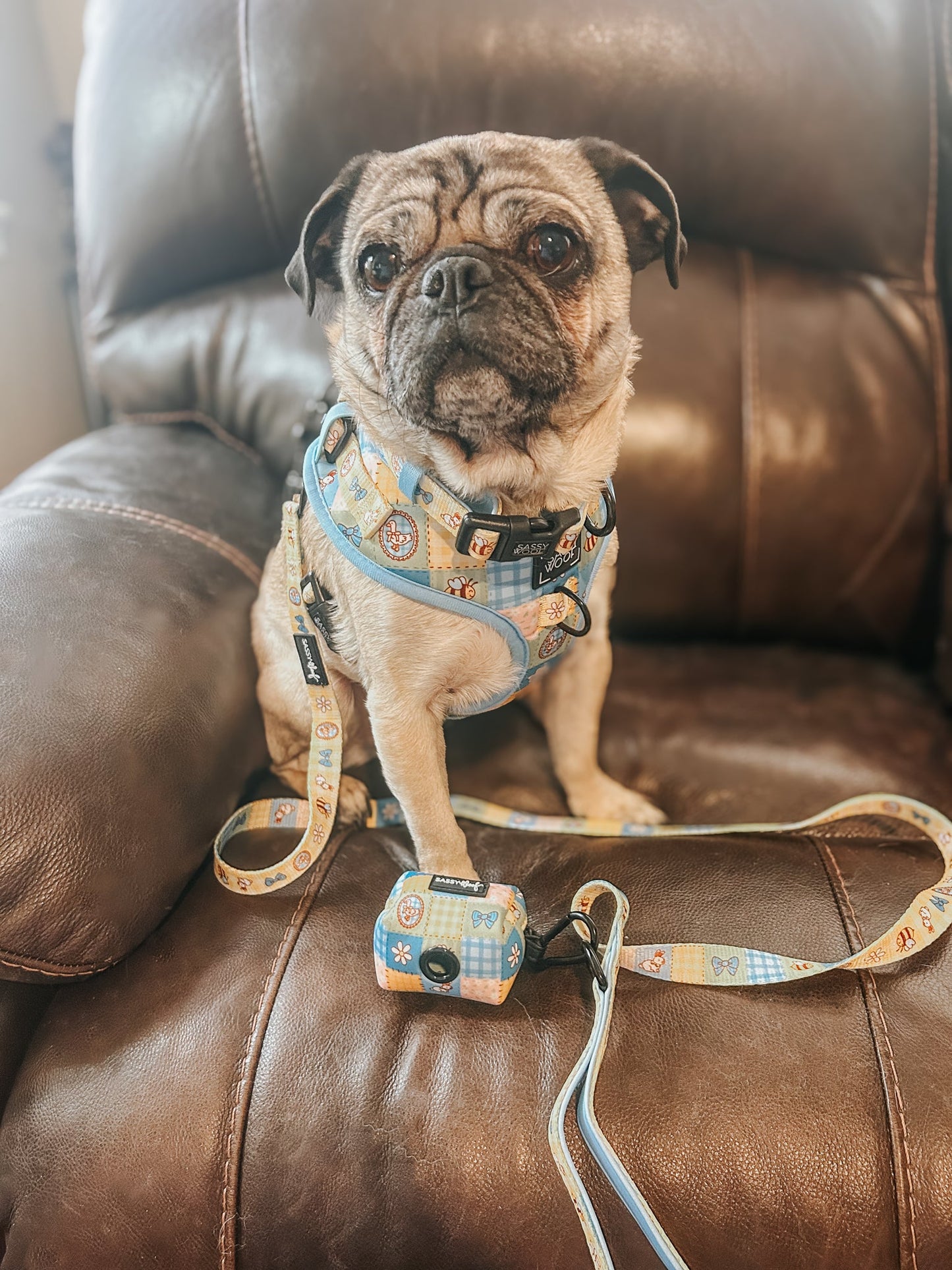 Dog Three Piece Bundle - Patch Perfect