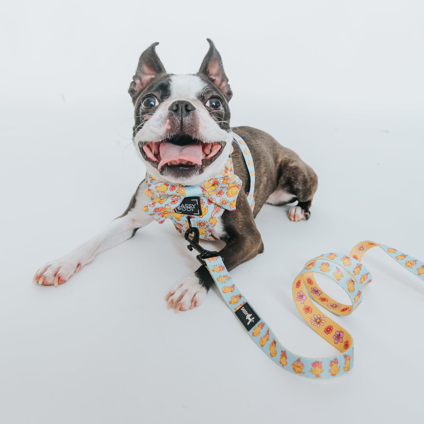 Dog Four Piece Bundle - Good Duck, Babe!