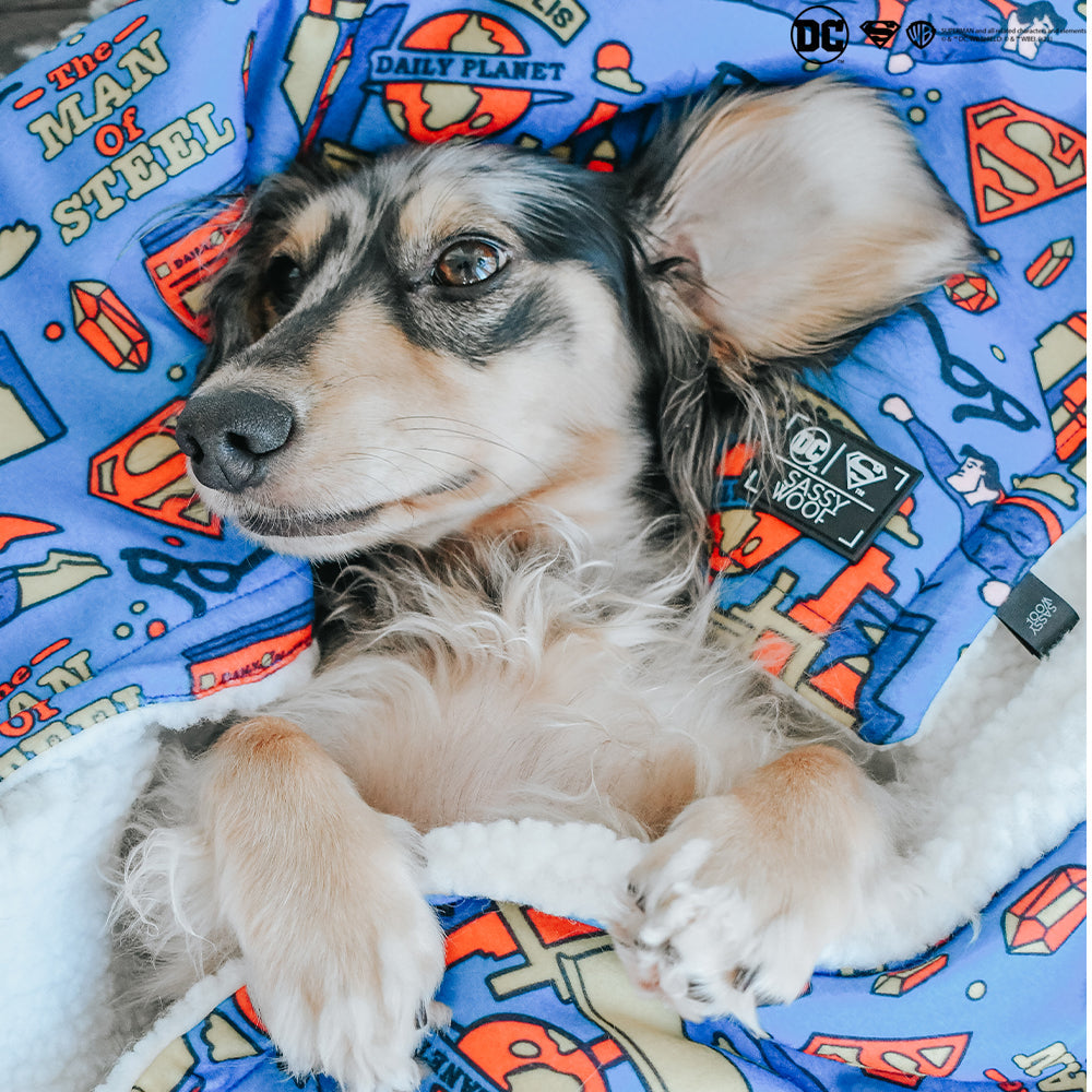 Pet Blanket - Superman™
