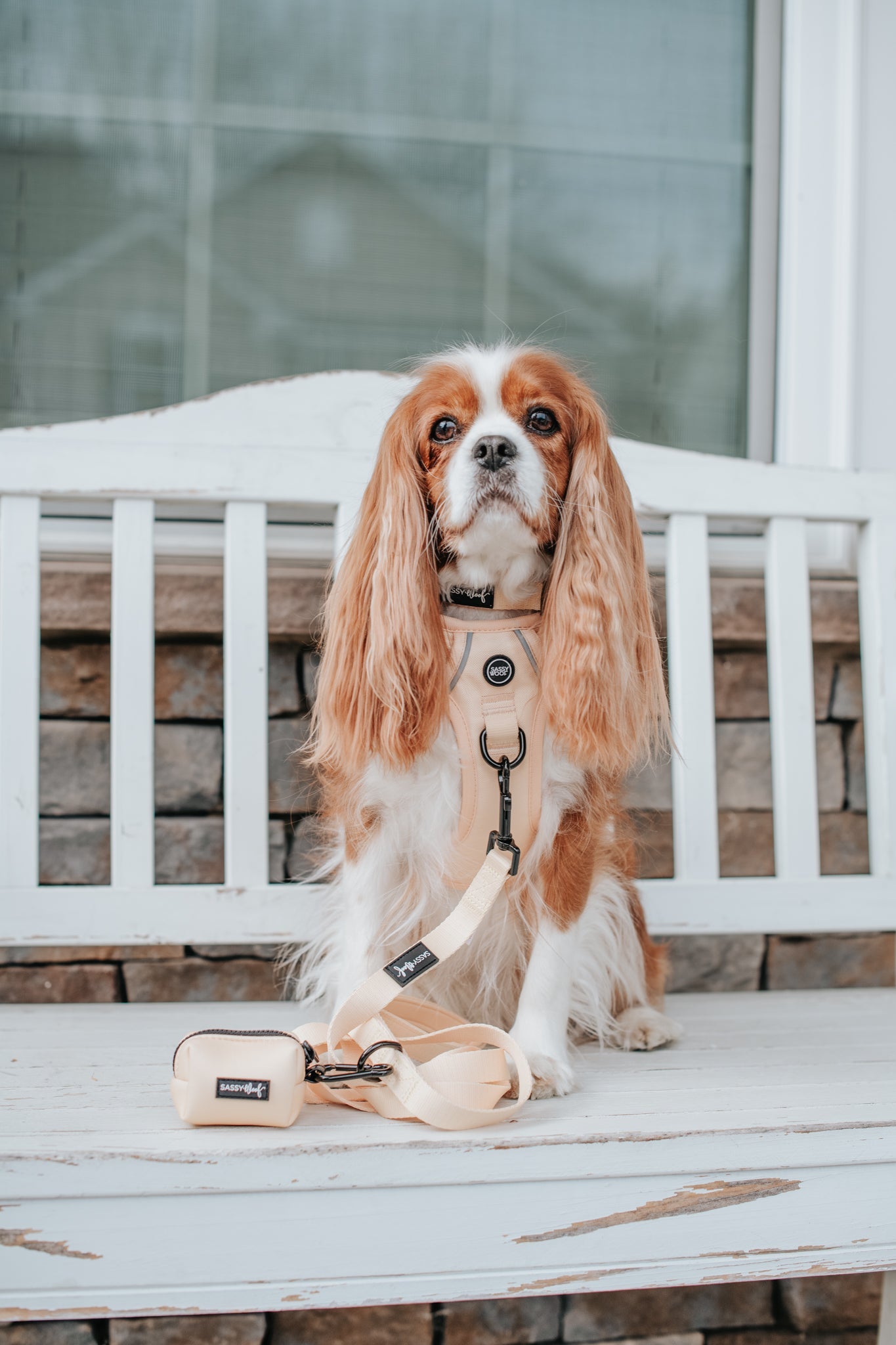 Dog Step-in Harness - Daffodil