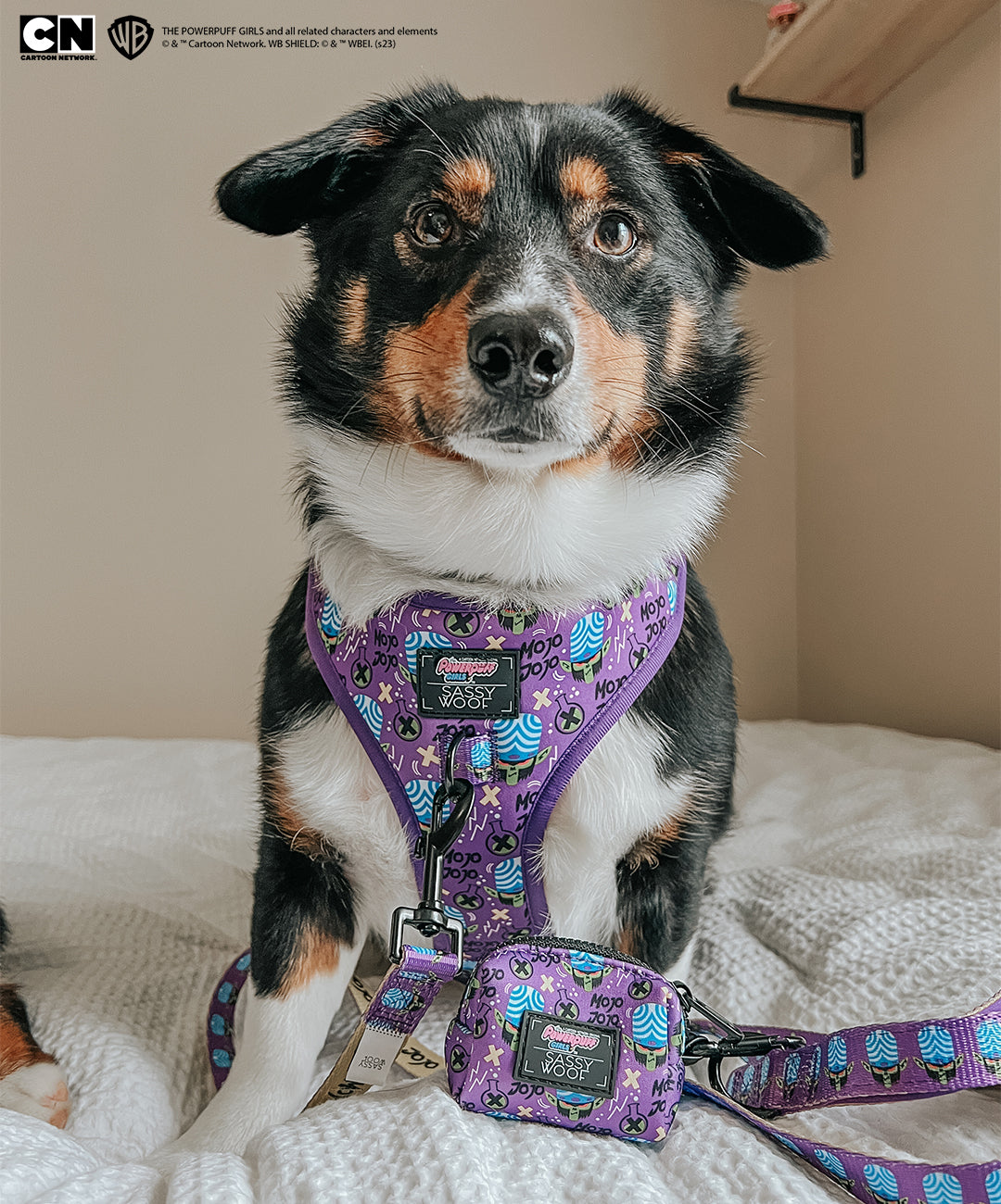 Dog Leash - Mojo Jojo™