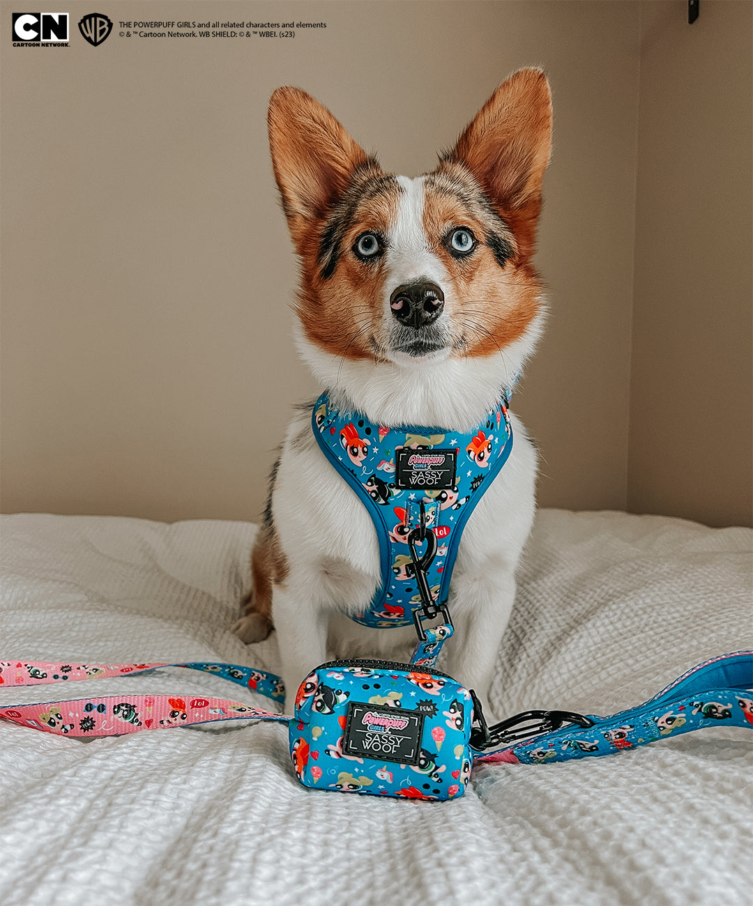 Dog Waste Bag Holder - The Powerpuff Girls™ (Blue)