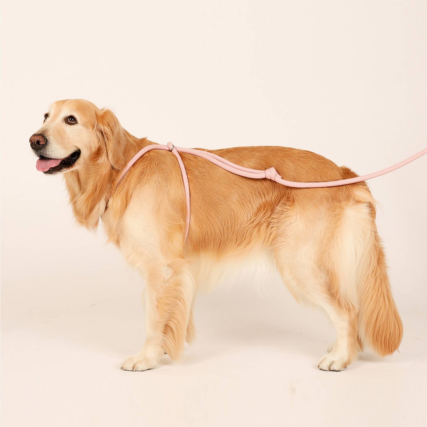 Hozi - All-in-one Harness : Pink