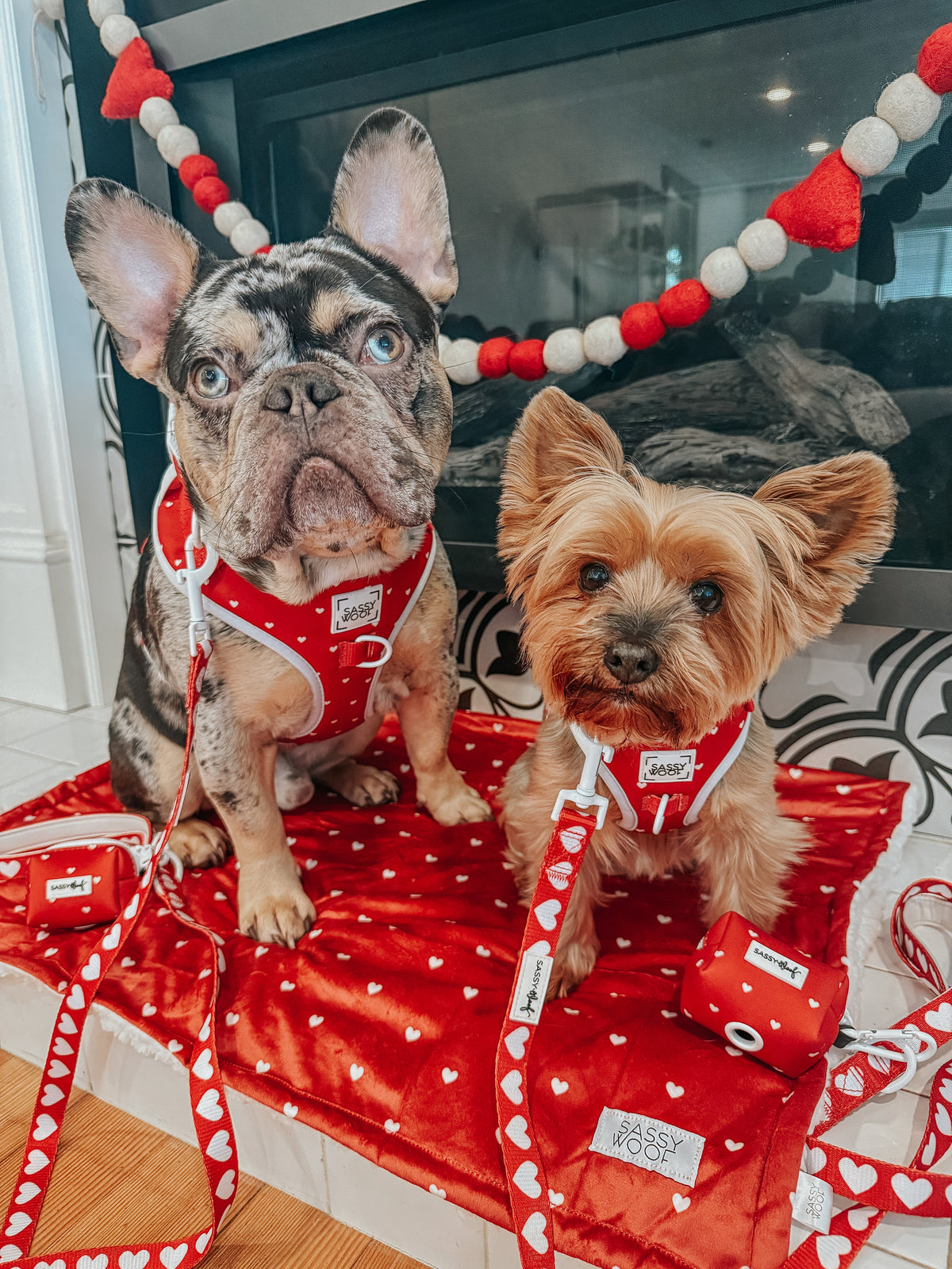 Dog Adjustable Harness - Little Love