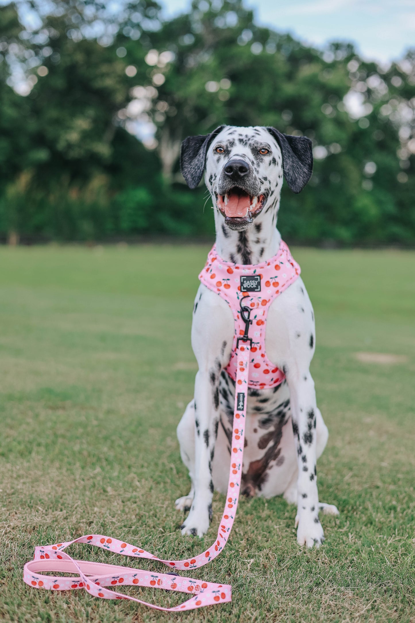 Dog Waste Bag Holder - Mon Chérry