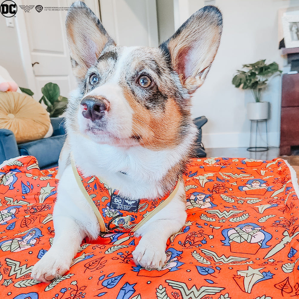 Pet Blanket - Wonder Woman™