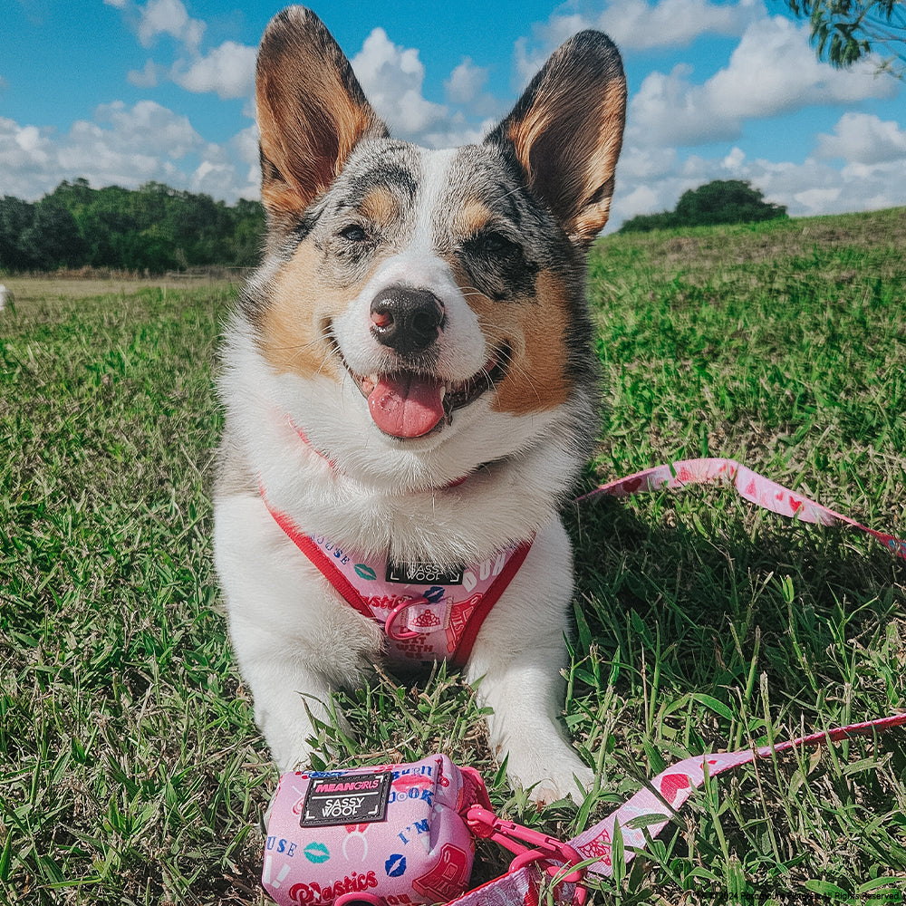 Dog Adjustable Harness - Mean Girls™