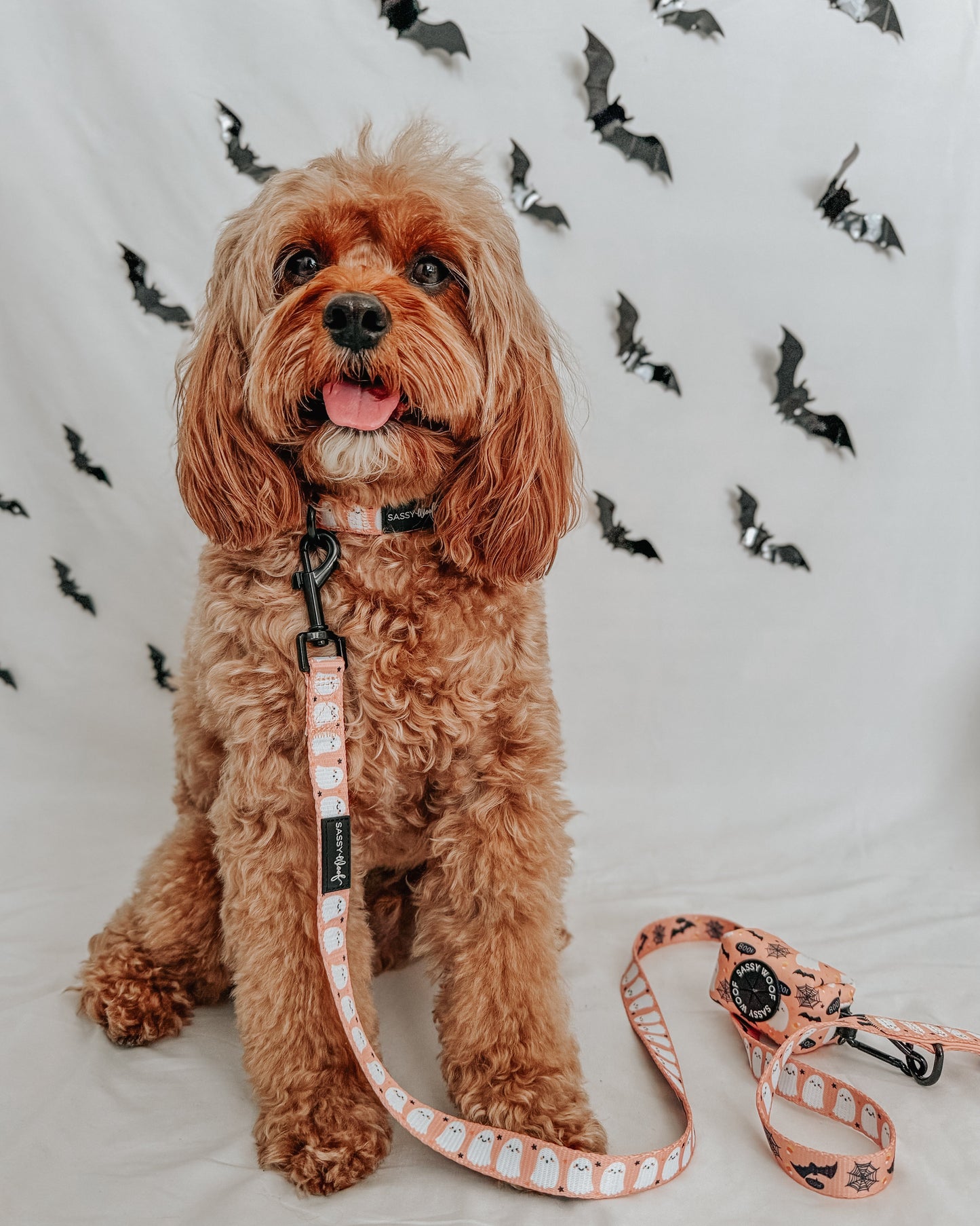Dog Collar - Squad Ghouls