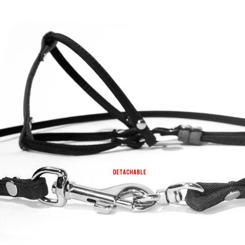 Dog Bar Step-In Nylon Dog Harness w/ Leash