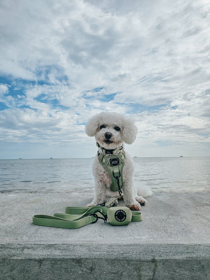 Dog Four Piece Bundle - Matcha