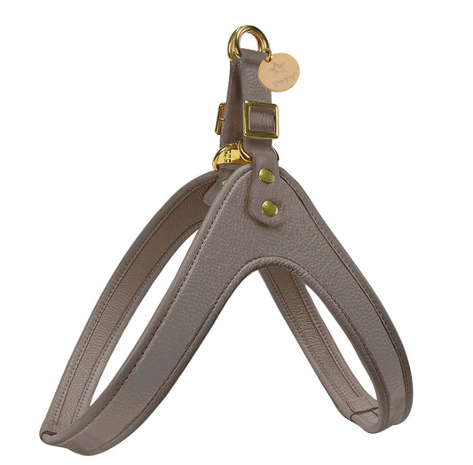 PoisePup - STEP-IN HARNESS - DESERT MINT