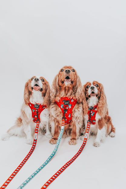 Harness Three Piece Bundle - Disney Holiday Collection