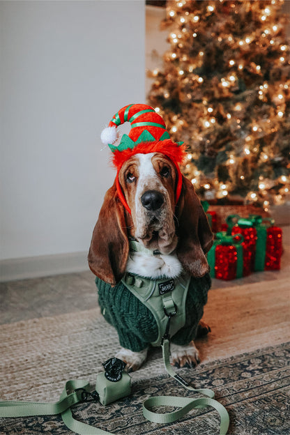 Dog Two Piece Bundle - Matcha