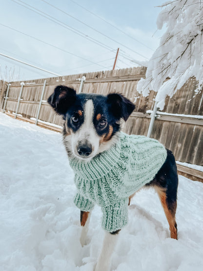 Pet Cable Knit Sweater - Mint