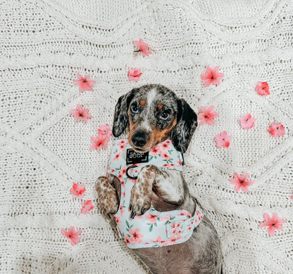 Dog Adjustable Harness - Sakura
