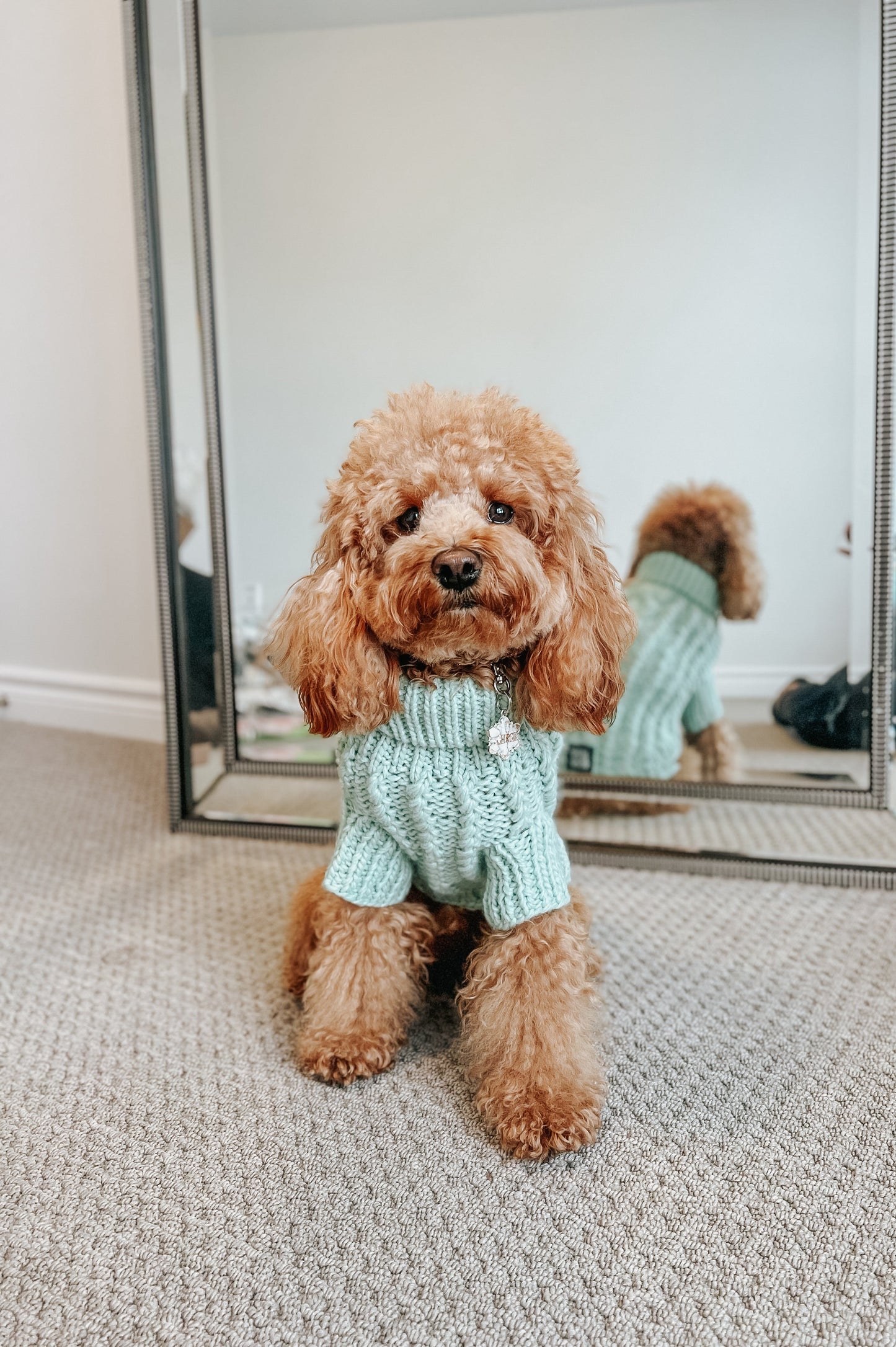 Pet Cable Knit Sweater - Mint
