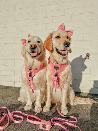 Collar Tag - Mama's Girl
