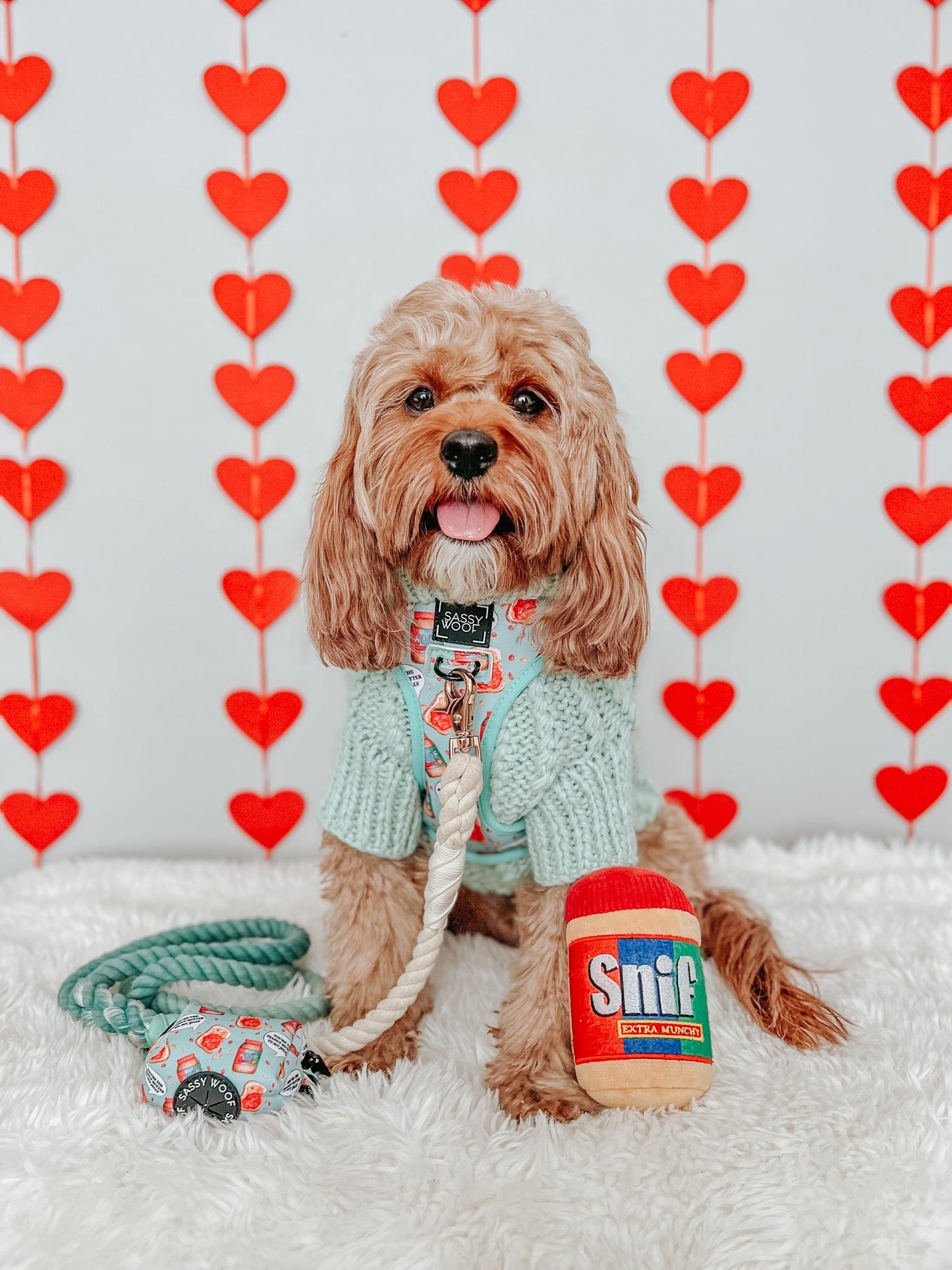 Pet Cable Knit Sweater - Mint