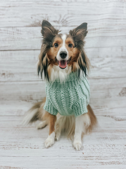 Pet Cable Knit Sweater - Mint
