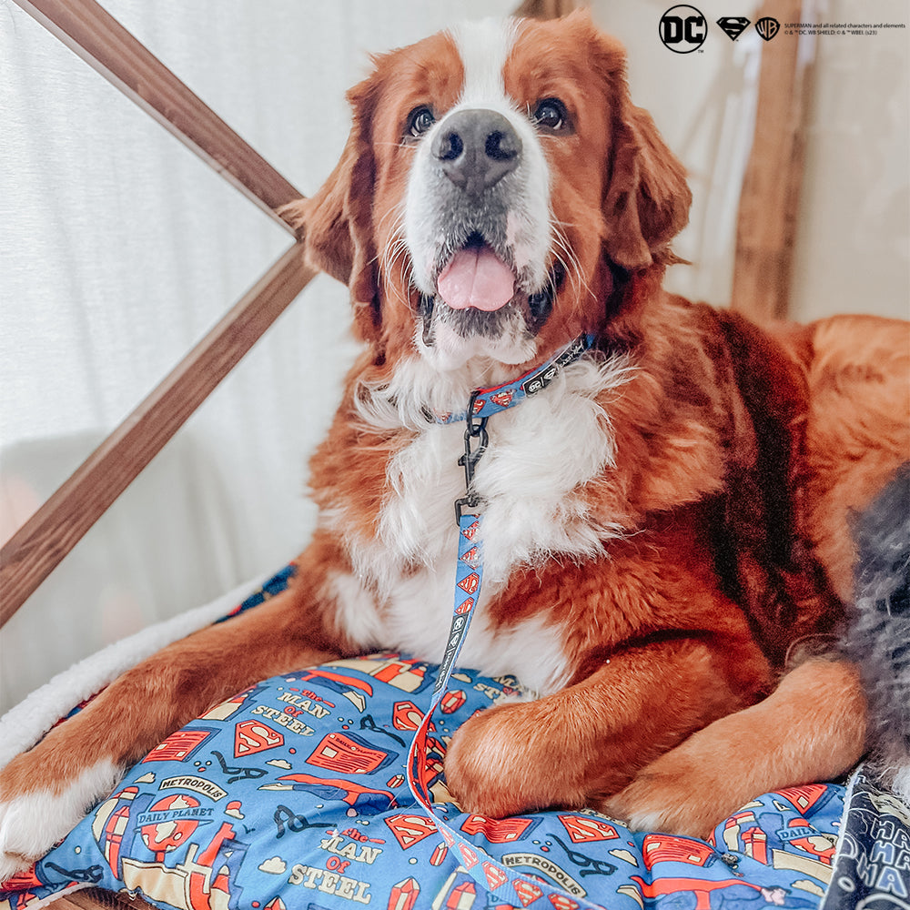 Pet Blanket - Superman™