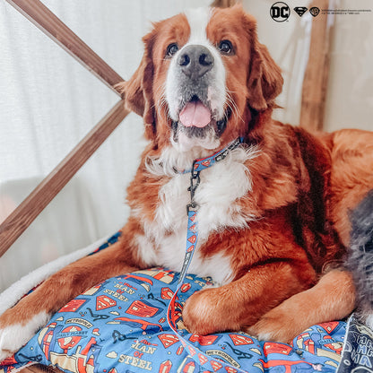 Pet Blanket - Superman™