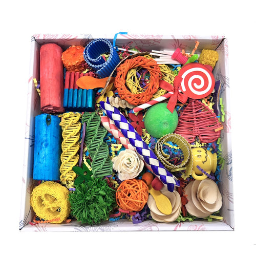 BeakJoy - Happy Wings Toy Box Large
