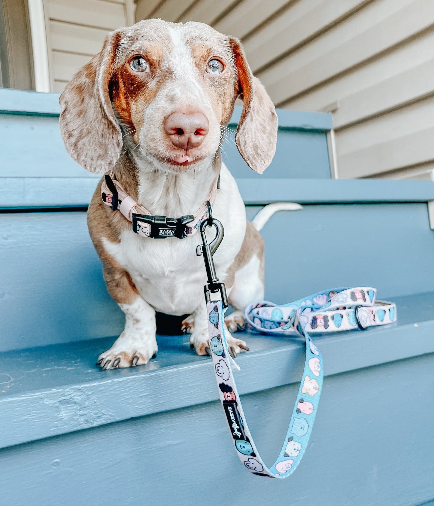 Dog Leash - Mixed With Love